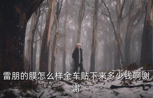 雷朋汽車膜怎么樣，雷朋fs570前檔汽車隔熱膜怎么樣多少錢可以貼好