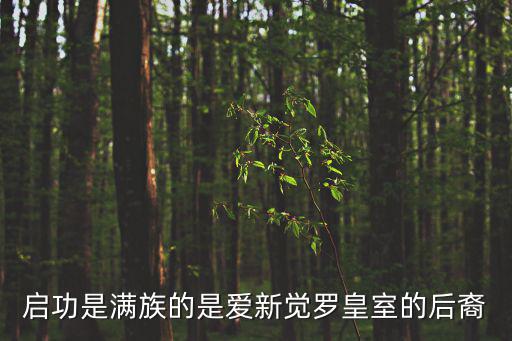 啟功是滿族的是愛新覺羅皇室的后裔