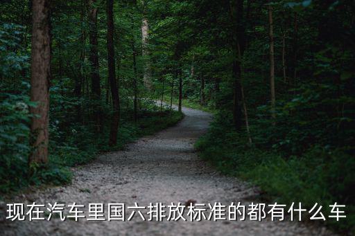 國6排放標準，現在汽車里國六排放標準的都有什么車