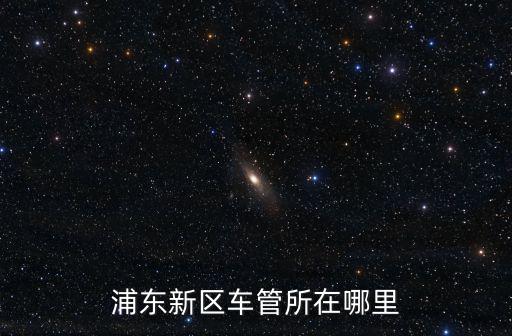 浦東新區車管所在哪里