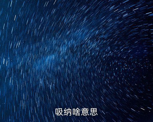 吸納啥意思