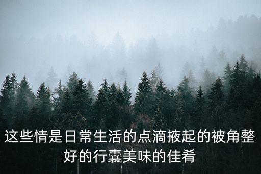 這些情是日常生活的點滴掖起的被角整好的行囊美味的佳肴
