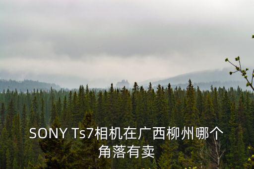 SONY Ts7相機(jī)在廣西柳州哪個角落有賣