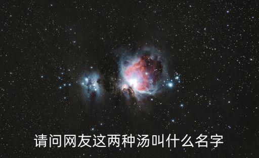 請問網友這兩種湯叫什么名字