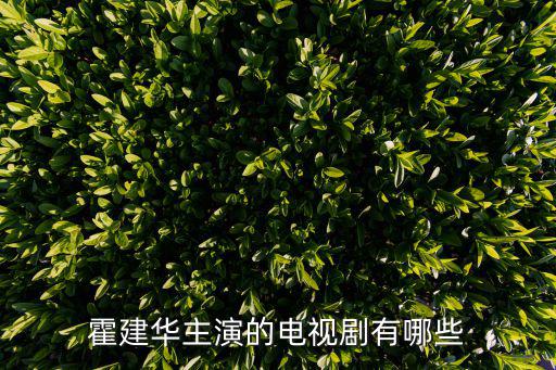 霍建華主演的電視劇有哪些