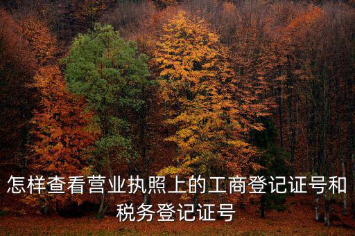 查營業執照怎么查詢，怎樣查看營業執照上的工商登記證號和稅務登記證號