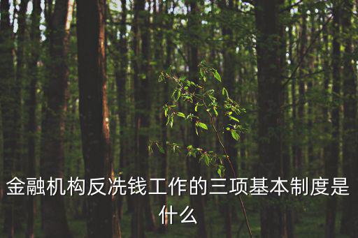 金融機構反冼錢工作的三項基本制度是什么