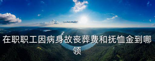 在職職工因病身故喪葬費(fèi)和撫恤金到哪領(lǐng)