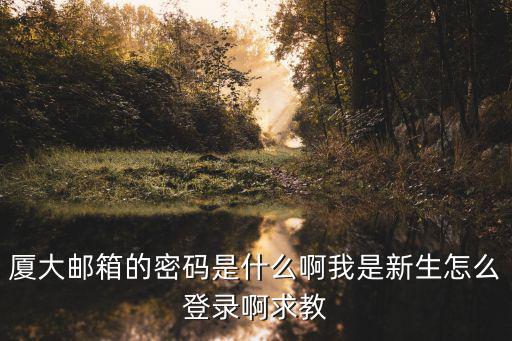 廈門大學(xué)學(xué)生郵箱，廈大郵箱的密碼是什么啊我是新生怎么登錄啊求教