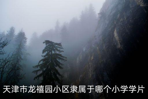 天津市龍禧園小區(qū)隸屬于哪個小學學片