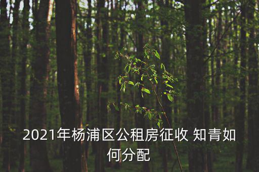 楊浦區(qū)公租房，楊浦區(qū)公租房在哪