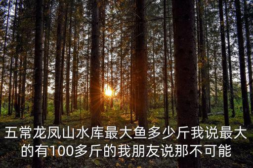 五常龍鳳山水庫最大魚多少斤我說最大的有100多斤的我朋友說那不可能