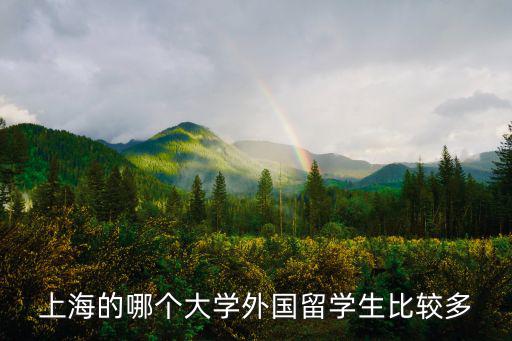 上海的哪個大學外國留學生比較多