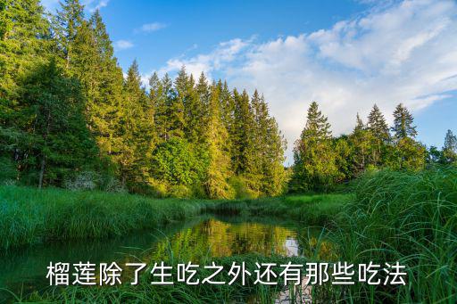 榴蓮除了生吃之外還有那些吃法