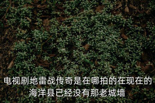 電視劇地雷戰，地雷戰電視劇哪一年拍的