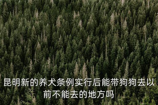 昆明新的養(yǎng)犬條例實行后能帶狗狗去以前不能去的地方嗎