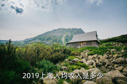 上海平均收入，2019上海人均收入是多少