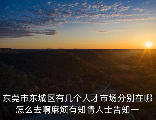 東莞市東城區有幾個人才市場分別在哪怎么去啊麻煩有知情人士告知一