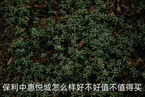 保利中惠悅城怎么樣好不好值不值得買
