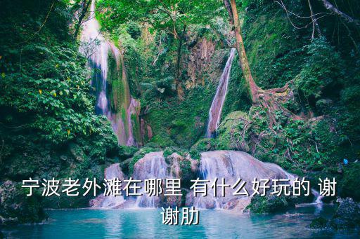 寧波老外灘在哪里 有什么好玩的 謝謝肋