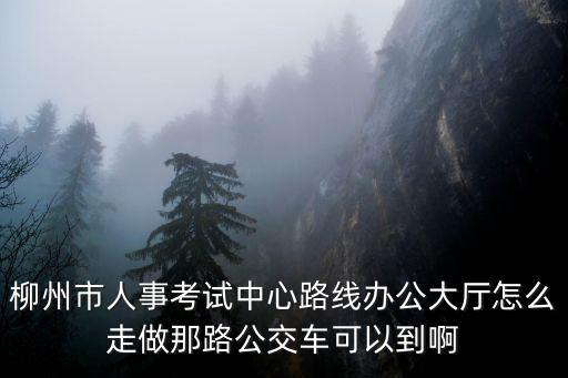 柳州市人事考試中心路線辦公大廳怎么走做那路公交車可以到啊
