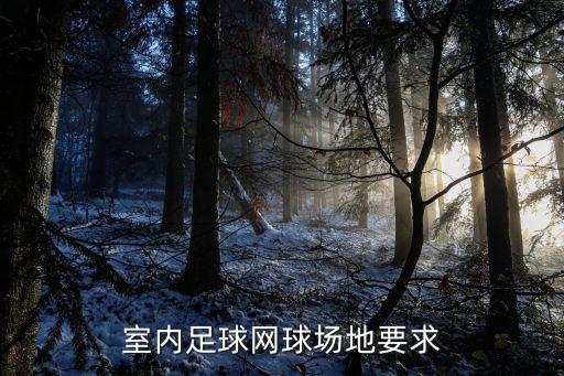 室內(nèi)足球網(wǎng)球場(chǎng)地要求