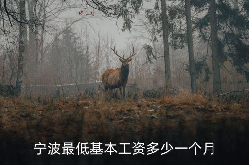 寧波最低基本工資多少一個月