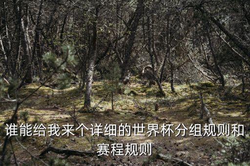 誰能給我來個(gè)詳細(xì)的世界杯分組規(guī)則和賽程規(guī)則
