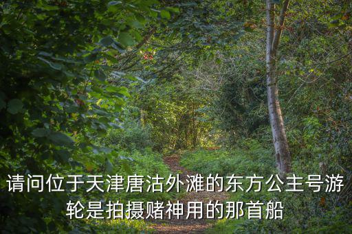 請問位于天津唐沽外灘的東方公主號游輪是拍攝賭神用的那首船