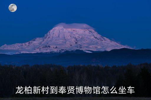 龍柏新村到奉賢博物館怎么坐車