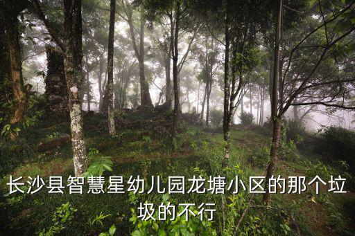 長(zhǎng)沙縣智慧星幼兒園龍?zhí)列^(qū)的那個(gè)垃圾的不行