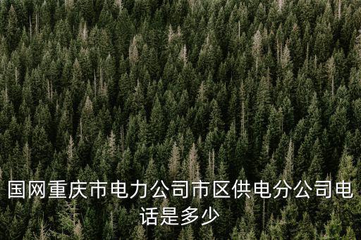 國網重慶市電力公司市區供電分公司電話是多少