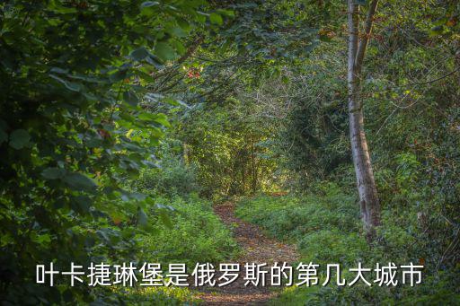 葉卡捷琳堡是俄羅斯的第幾大城市