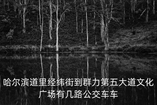 哈爾濱道里經緯街到群力第五大道文化廣場有幾路公交車車