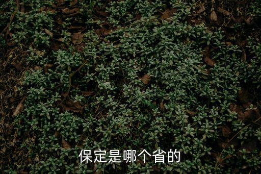 保定是哪個省的