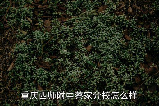 重慶西師附中，重慶西師附中是偏文還是偏理科