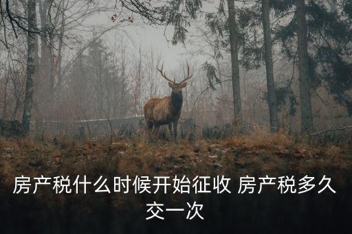 房產(chǎn)稅什么時(shí)候開始征收 房產(chǎn)稅多久交一次
