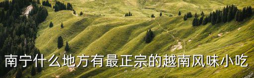 越南雞粉，南寧什么地方有最正宗的越南風味小吃