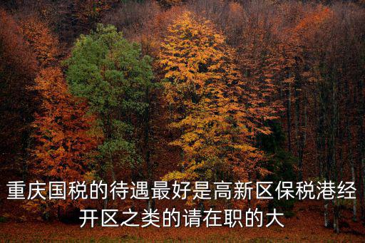 重慶國稅的待遇最好是高新區保稅港經開區之類的請在職的大