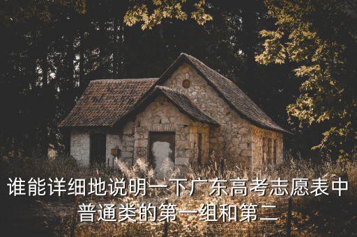 誰(shuí)能詳細(xì)地說明一下廣東高考志愿表中普通類的第一組和第二