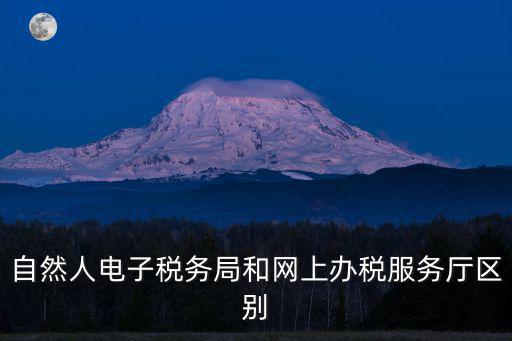 自然人電子稅務局和網上辦稅服務廳區別