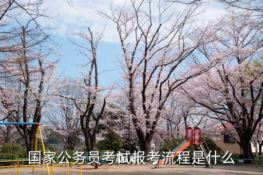 國家公務員考試報考流程是什么