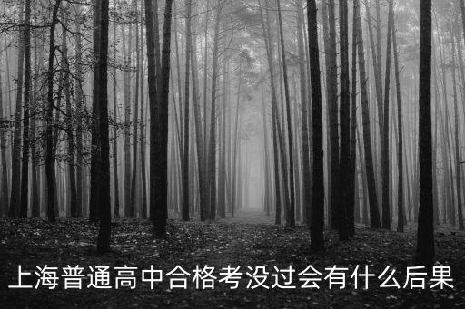 上海普通高中合格考沒(méi)過(guò)會(huì)有什么后果