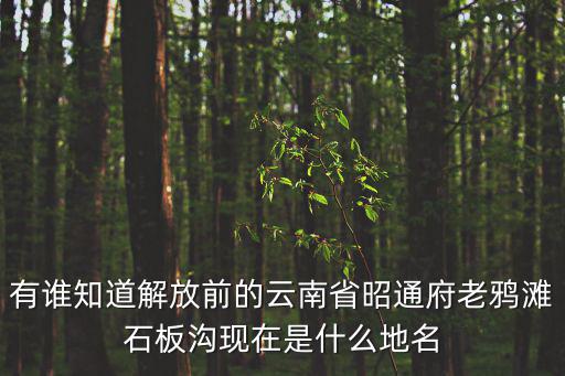 有誰(shuí)知道解放前的云南省昭通府老鴉灘石板溝現(xiàn)在是什么地名