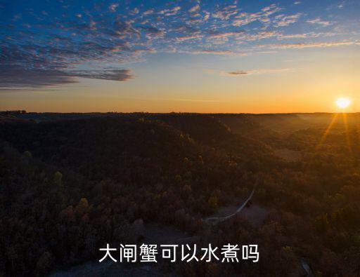 大閘蟹可以水煮嗎