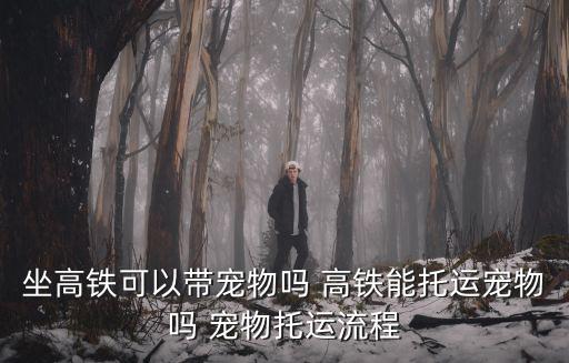 高鐵可以帶寵物，坐高鐵可以帶寵物嗎 高鐵能托運寵物嗎 寵物托運流程