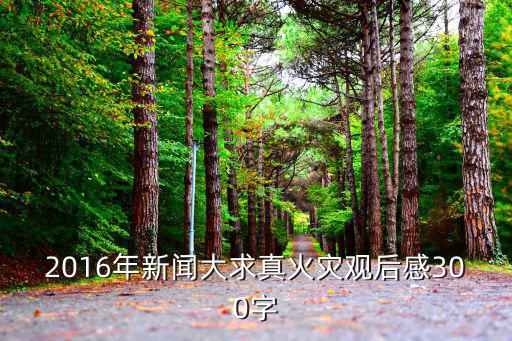 2016年新聞大求真火災觀后感300字