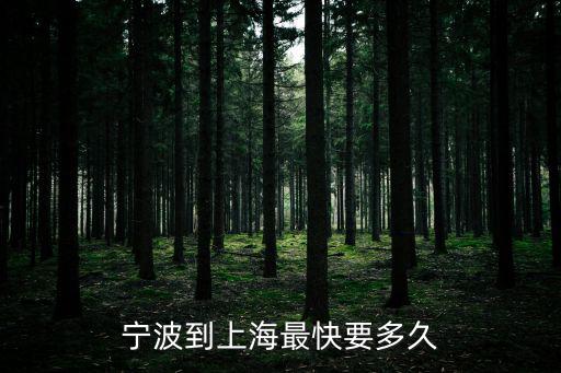 寧波到上海最快要多久