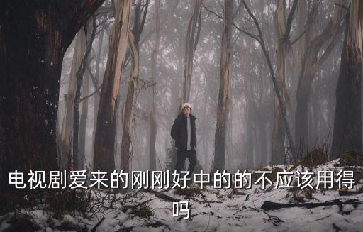 電視劇愛來的剛剛好中的的不應該用得嗎