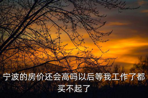 寧波的房價還會高嗎以后等我工作了都買不起了